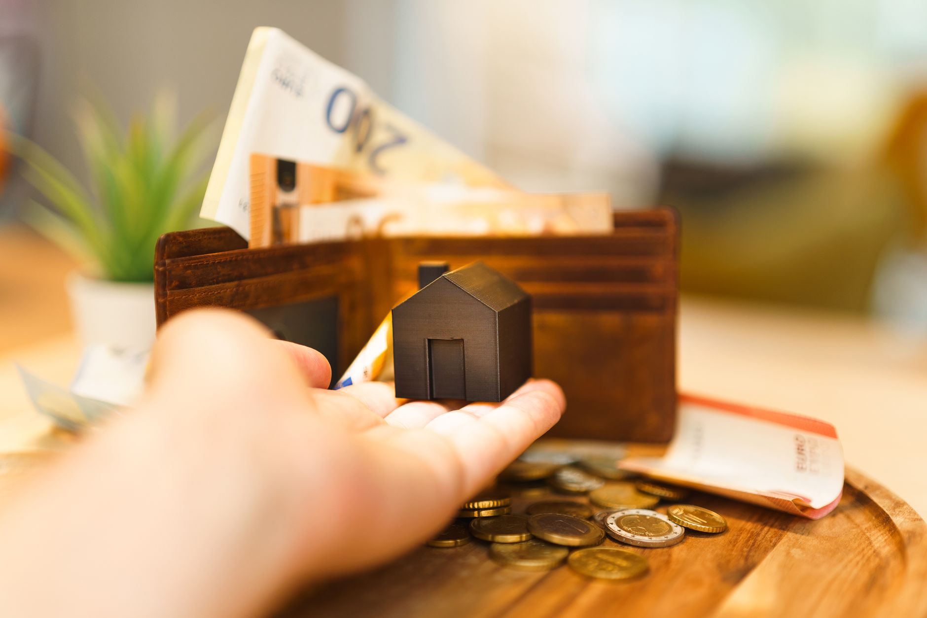 home renovation financial aid euro money